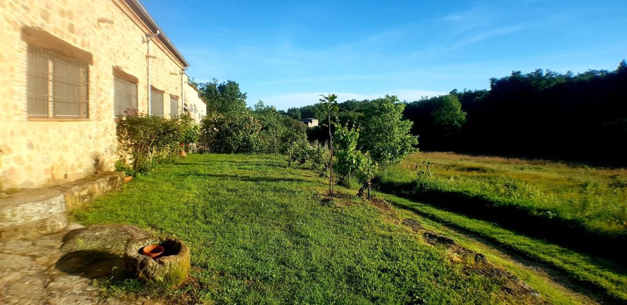 Casa Rural Colmenarejo クアコス・デ・ユステ エクステリア 写真